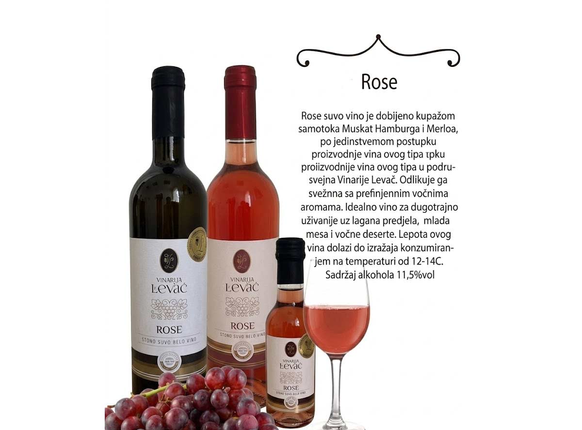 Rose